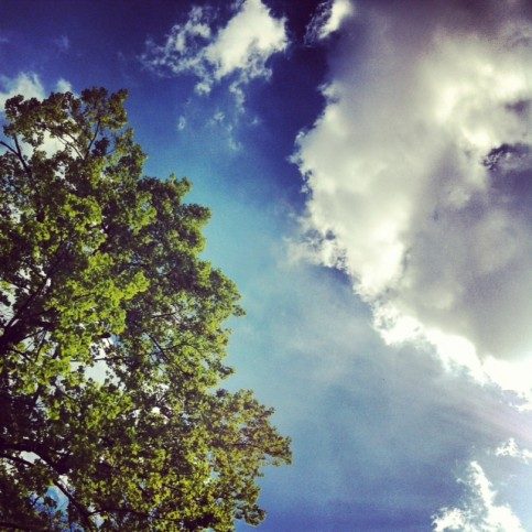 ベルリンの青空 5月