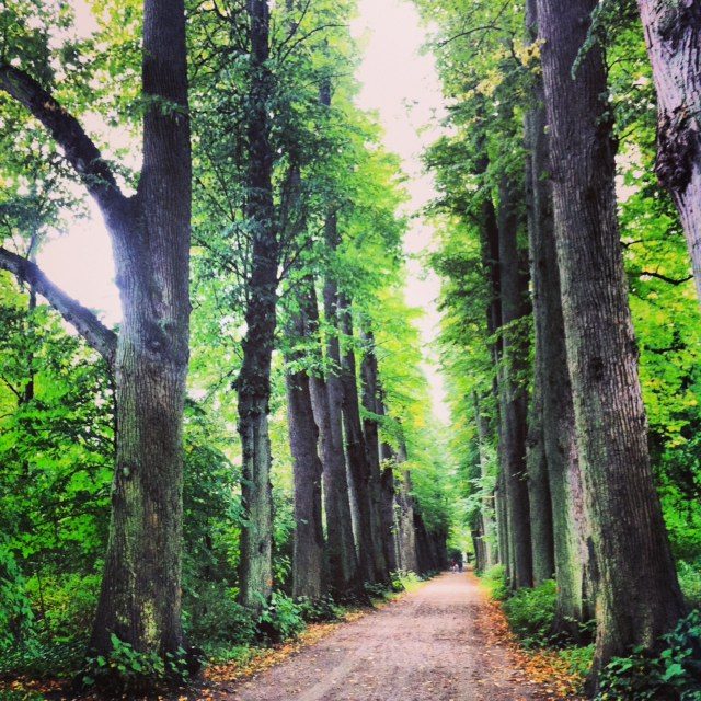 Schlossgarten in Eutin