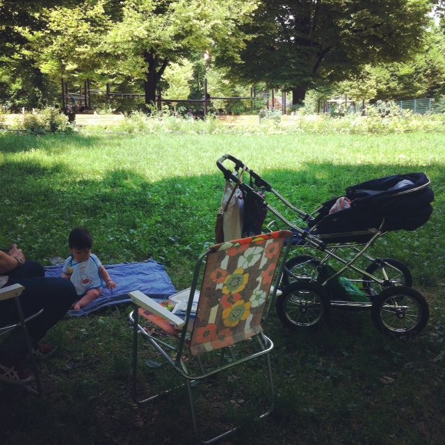 picnic