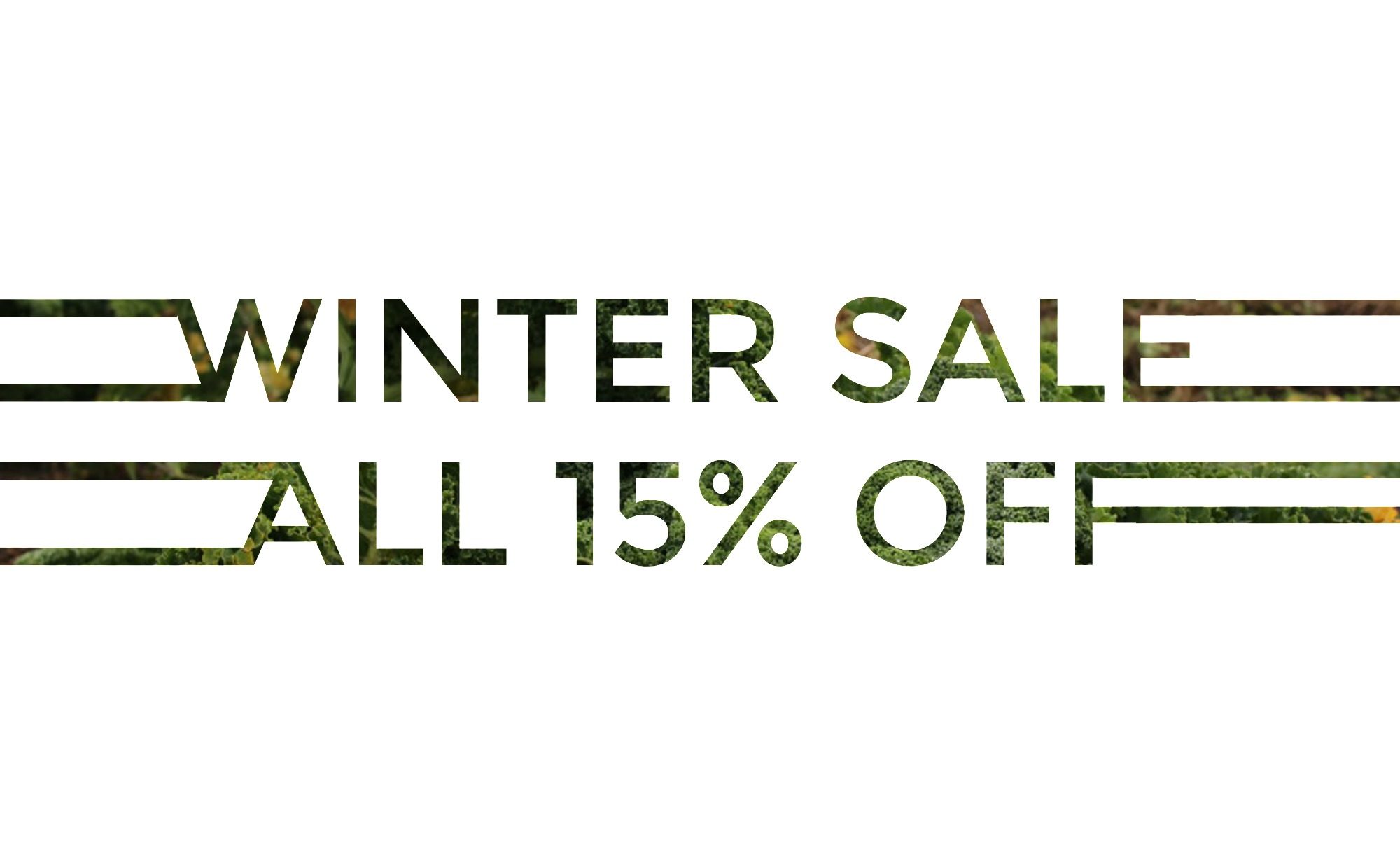 Winter Sale 4