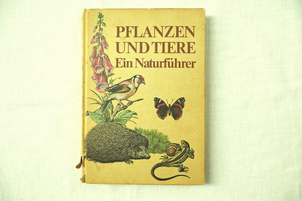 80年代レトロ動植物図鑑 PFLANZEN UND TIERE