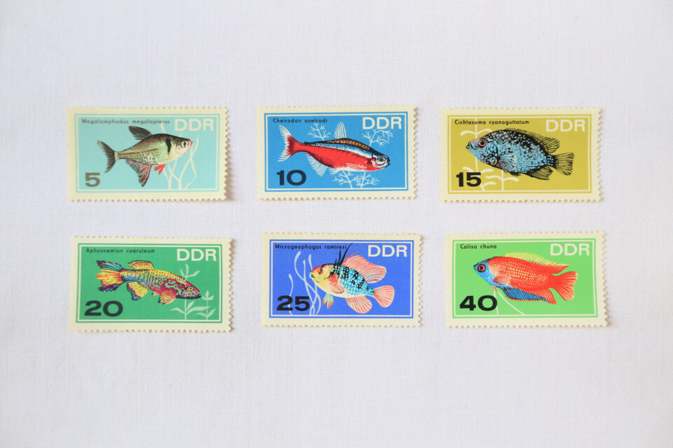 1966年 DDRヴィンテージ切手・熱帯魚