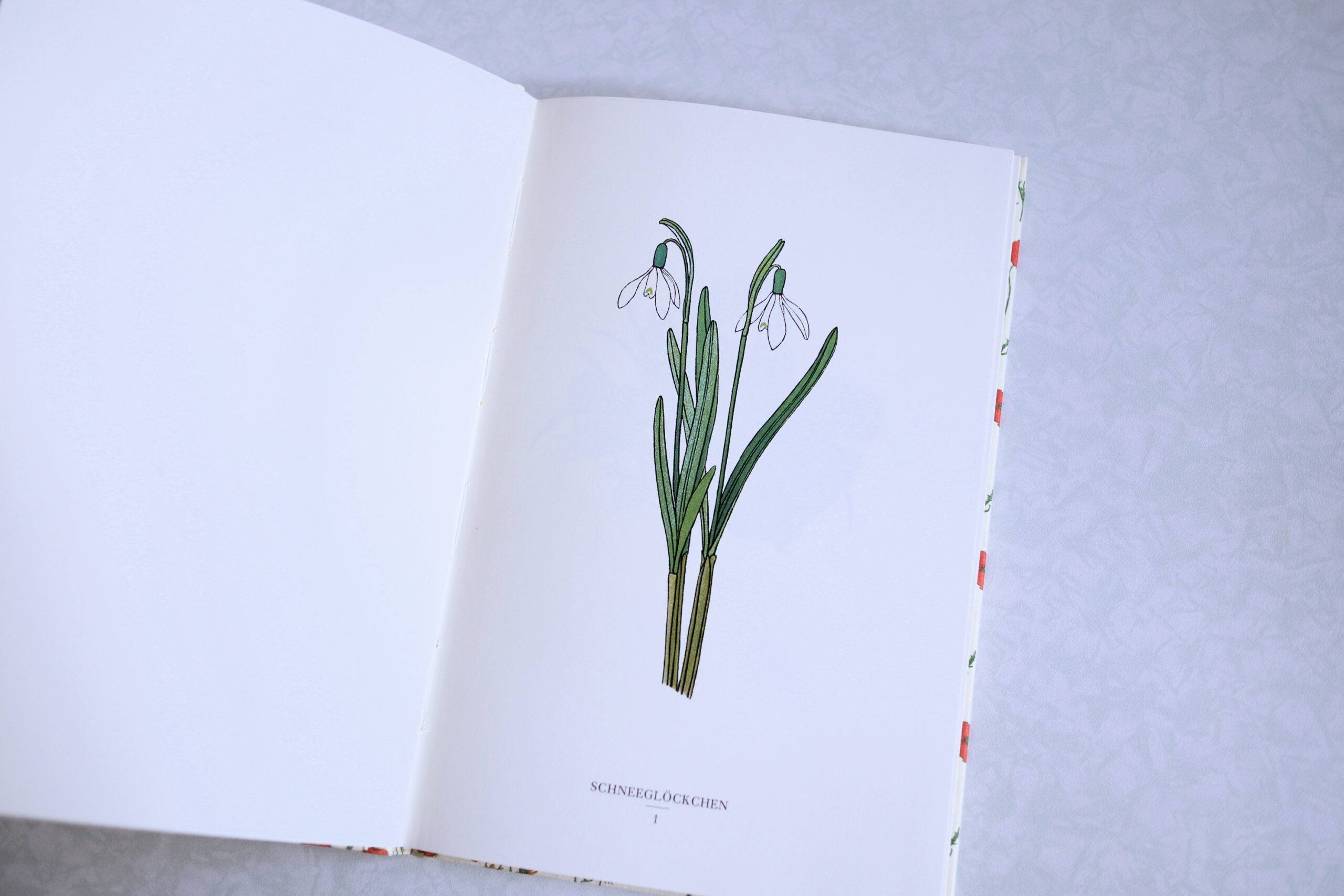 インゼル文庫　小さな花の本　Das kleine Blumenbuch インゼル文庫 281番 小さな花の本 Das kleine Blumenbuch | Frau