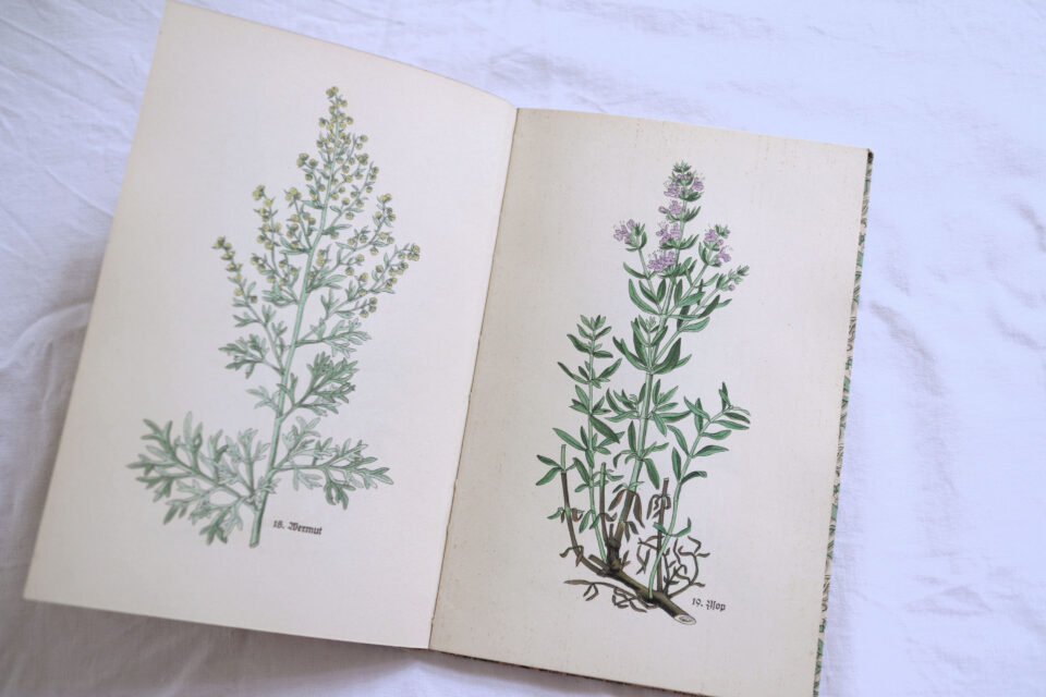 インゼル文庫No.269 Das kleine Kräuterbuch 小さなハーブの本 - 画像 (5)