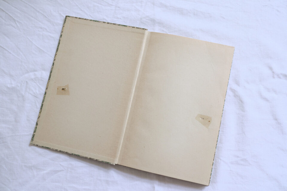 インゼル文庫No.269 Das kleine Kräuterbuch 小さなハーブの本 - 画像 (4)