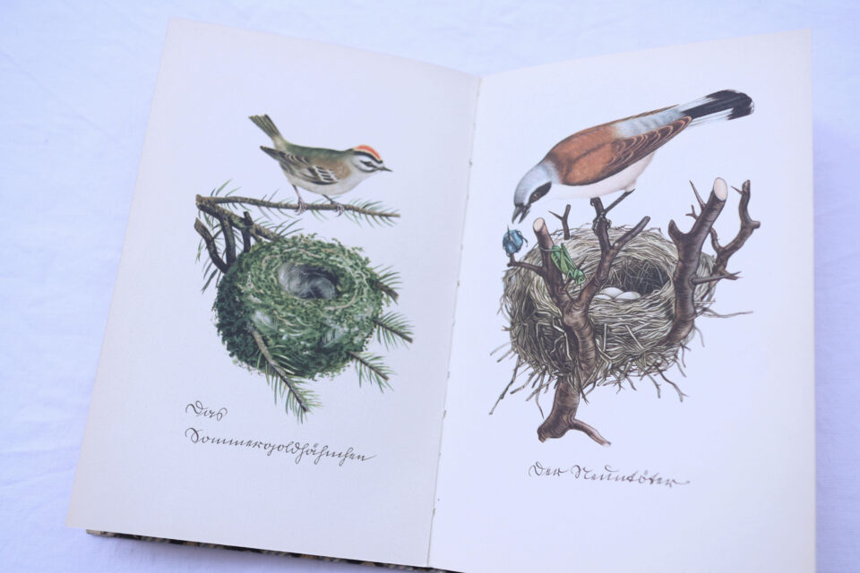 インゼル文庫 Das kleine Buch der Vögel und Nester - 画像 (5)