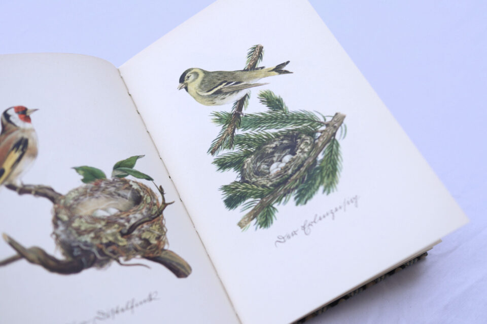 インゼル文庫 Das kleine Buch der Vögel und Nester - 画像 (4)