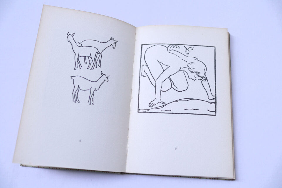 インゼル文庫604番 マイヨール木版画集 Hirternleben - 画像 (4)