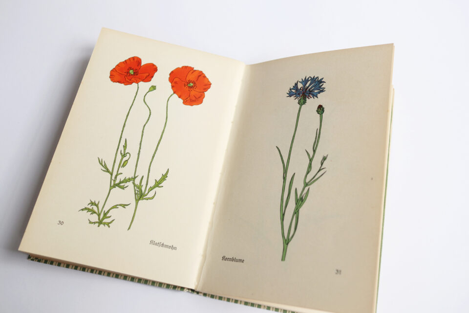 ドイツ インゼル文庫 281番 Das kleine Blumenbuch - 画像 (7)