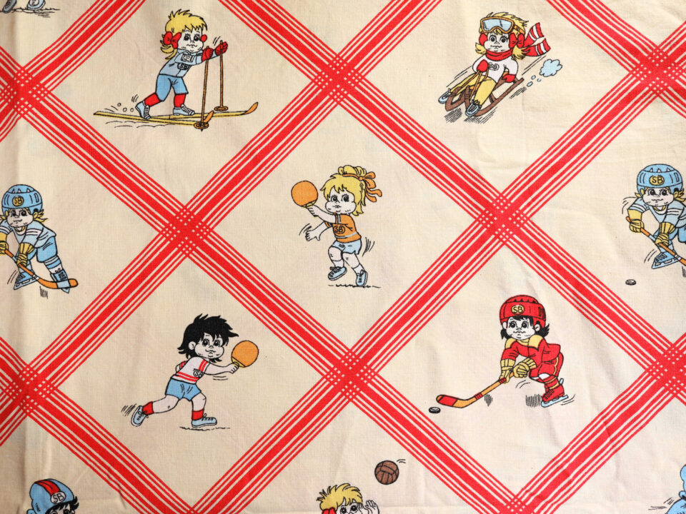 Sport Billy スポーツキッズ柄ヴィンテージファブリック 幅127cm